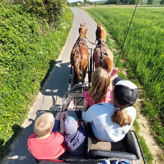 Lyssenthoek Farm - photo 8