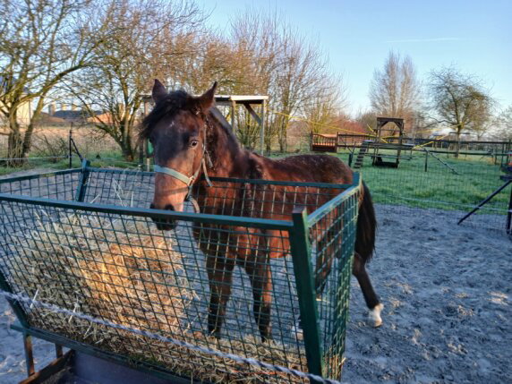 Lyssenthoek Farm - photo 9