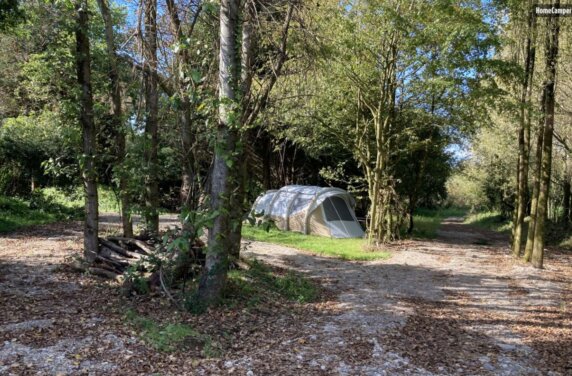 Natuurcamping in Wimille - photo 2