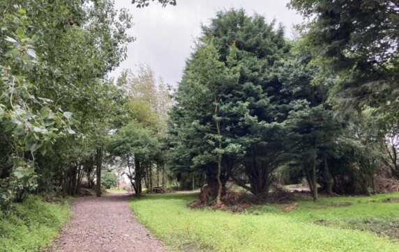 Natuurcamping in Wimille - photo 7