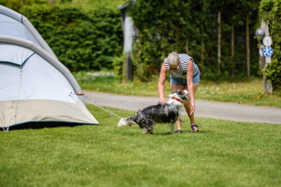 Camping Confort - photo 10