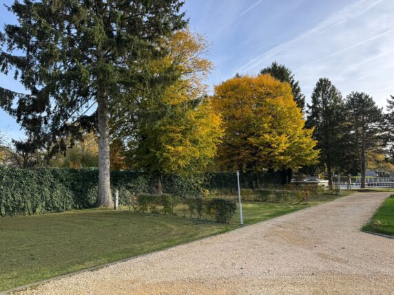 Safaritent voor 6 personen op Camping Hitjesvijver - photo 15
