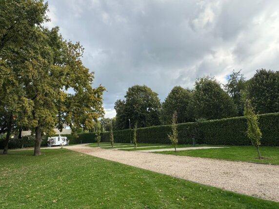 Safaritent voor 6 personen op Camping Hitjesvijver - photo 17