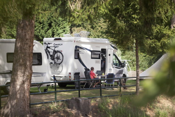 Safaritent voor 6 personen op Camping Hitjesvijver - photo 9