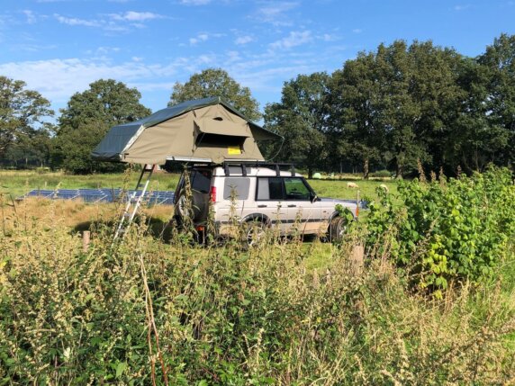 Kampeerplek in Bornerbroek - photo 8