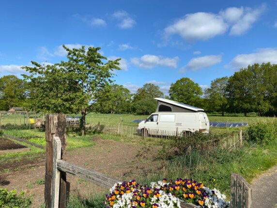 Kampeerplek in Bornerbroek - photo 16