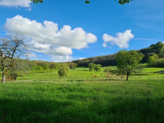 Kamperen bij een oud kasteel in de Franse Ardennen - photo 12