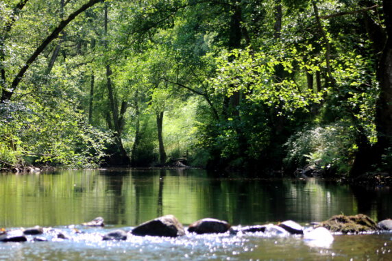 Le Petit Paradis Auvergne - photo 2