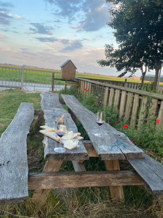 Minicamping in Callantsoog - photo 6