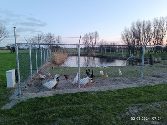 Minicamping in Callantsoog - photo 12