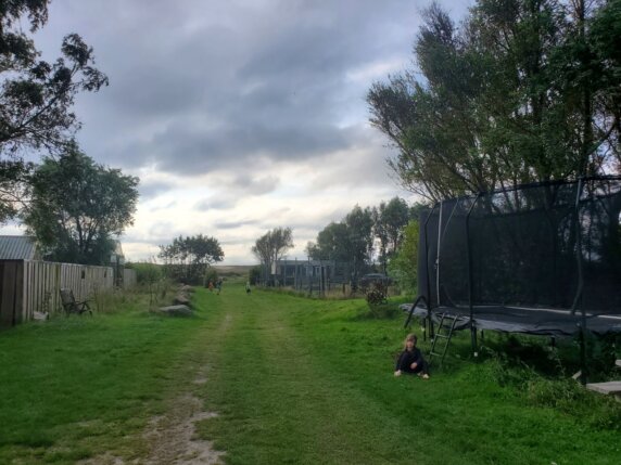 Minicamping in Callantsoog - photo 16