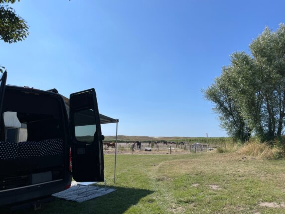 Minicamping in Callantsoog - photo 19