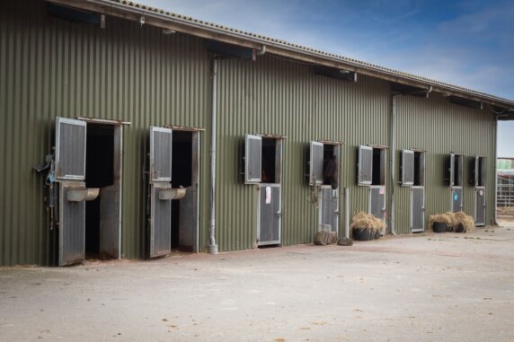 Minicamping in Callantsoog - photo 8