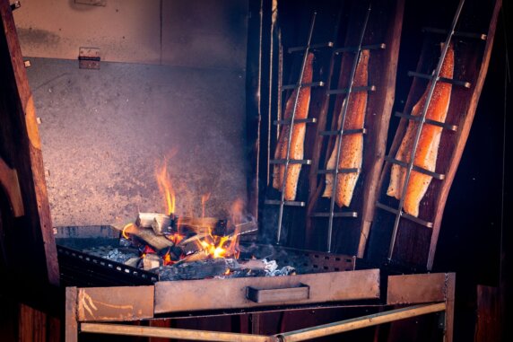 Minicamping in Callantsoog - photo 17