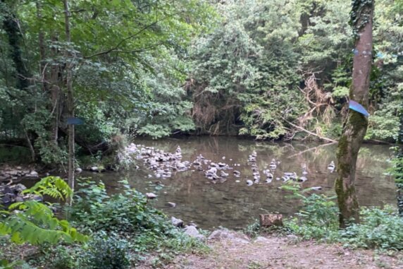 Camping Le Bois Flottant - photo 12