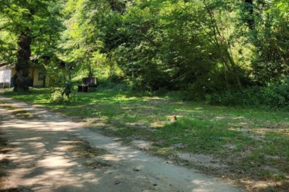 Camping Le Bois Flottant - photo 5