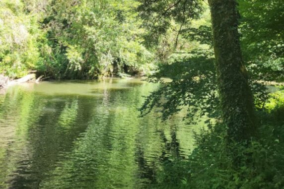 Camping Le Bois Flottant - photo 6