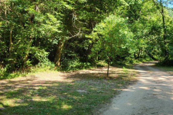 Camping Le Bois Flottant - photo 2