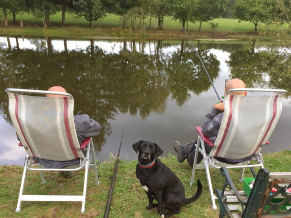 Camping Liabaquet - photo 7