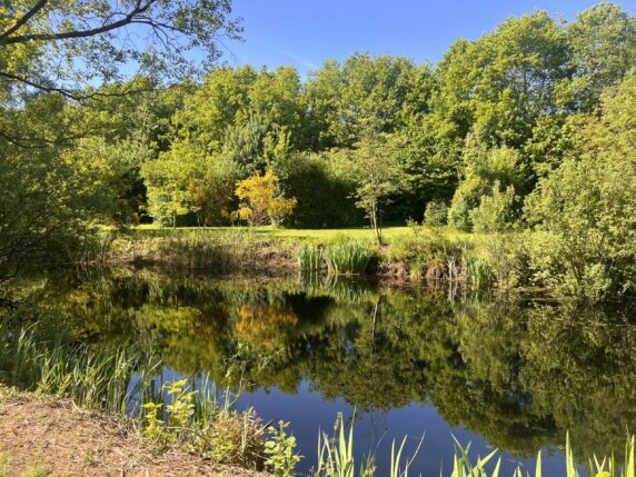 Camping Het Krachtbos - photo 1