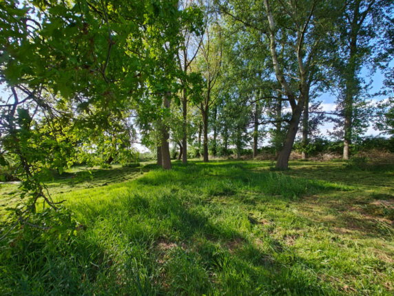 Je eigen plekje onder de bomen in Oudelande - photo 5