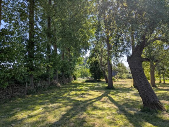 Je eigen plekje onder de bomen in Oudelande - photo 4