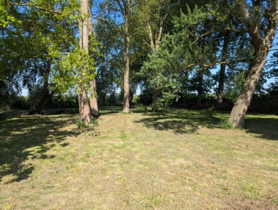 Je eigen plekje onder de bomen in Oudelande - photo 8