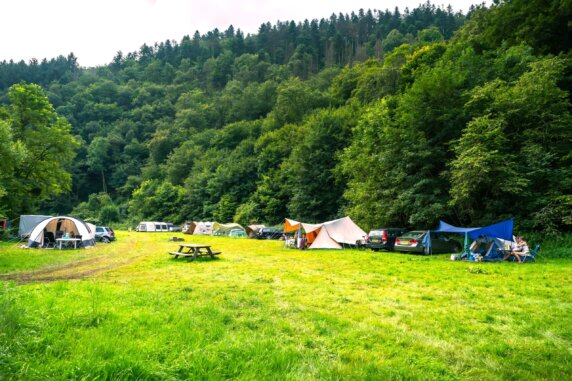 Moselcamping Alf - photo 2