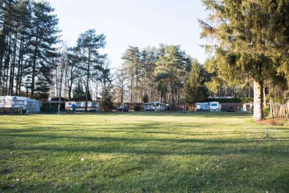 Camping Het Swinnenbos - photo 2