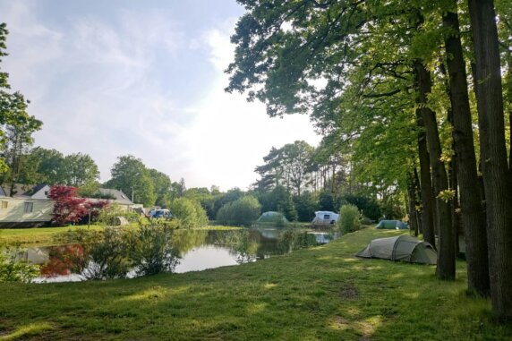 Camping Het Swinnenbos - photo 1