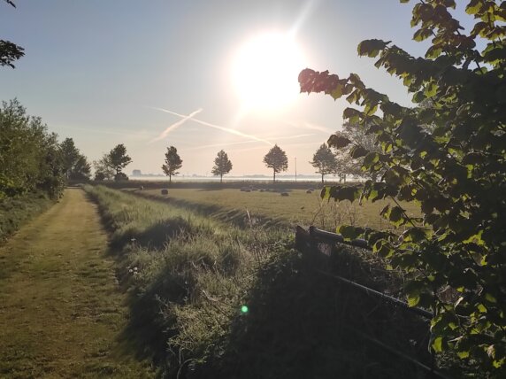 Campspace in Hoogwoud - photo 3