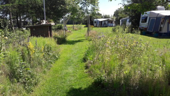 Camping De Sieghorst - photo 1