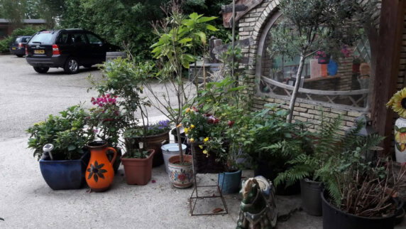 Camping De Sieghorst - photo 16