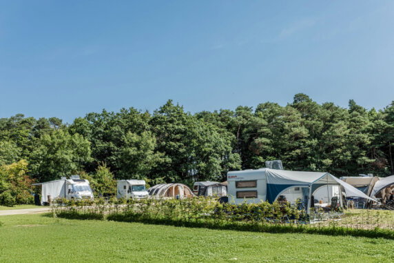 Moselcamping Kröver Berg - photo 1
