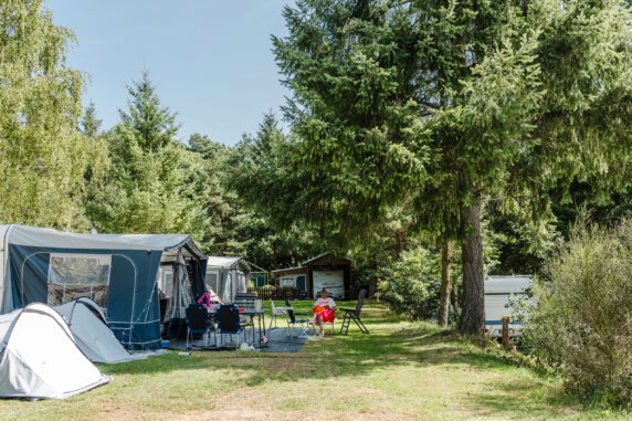 Moselcamping Kröver Berg - photo 3