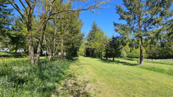 Moselcamping Kröver Berg - photo 5