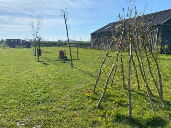 Camping 1680 - photo 5