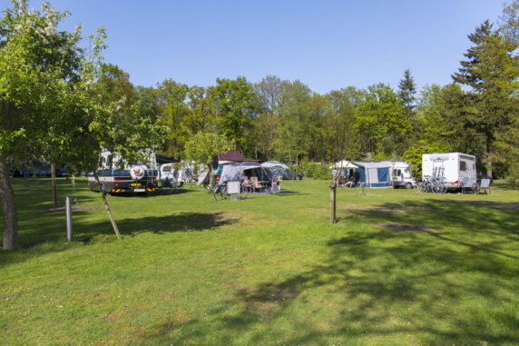 Camping Bij de Bronnen - photo 7