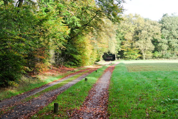 Camping Bij de Bronnen - photo 8
