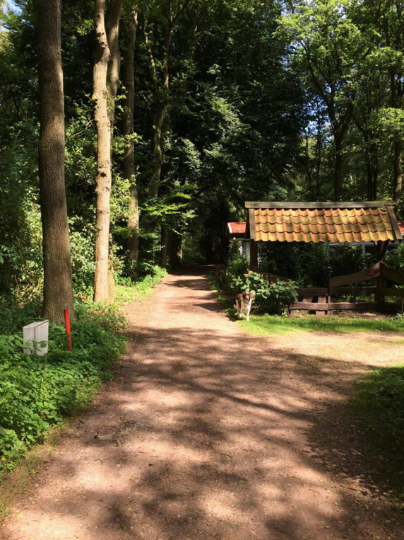 Camping Bij de Bronnen - photo 11