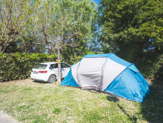 Camping City - photo 2