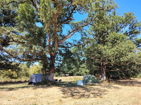 Gîtes & Camping Le Maingaud - photo 1