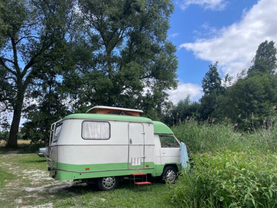 Camping Sengersbroek - photo 5