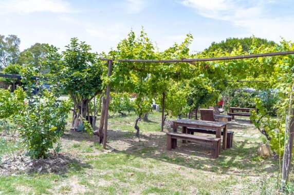 Camping Village Casa Dei Prati - photo 8
