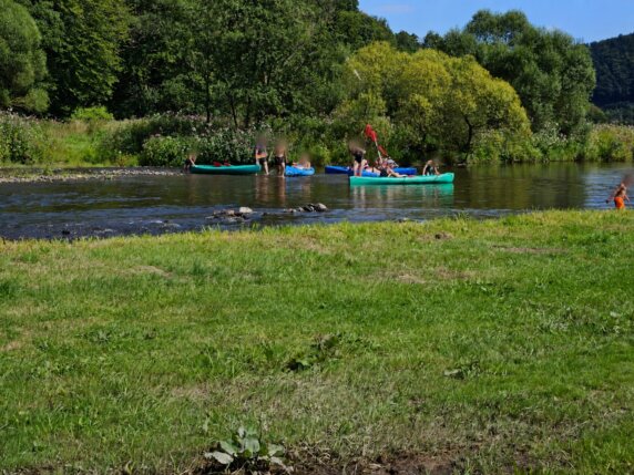 Camping Cosmopolite - photo 3