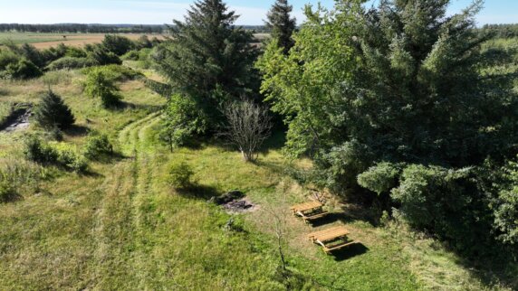 Kampeerplaats in Henne, Zuid-Denemarken - photo 2