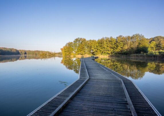 Camping Municipal La Grange Du Pin - photo 2