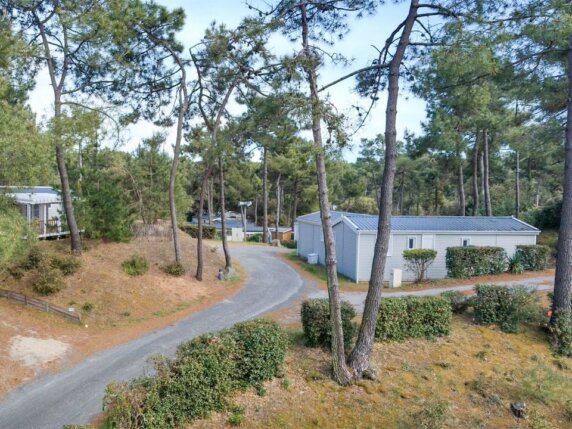 Domaine Des Pins - photo 1